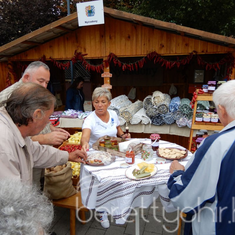 Helyi Értékek Startja 51